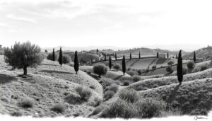 Alentejo Portugal: Ruhe, Natur & Geheimtipps für Genießer