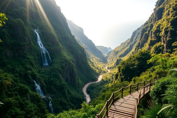 Levada Wandern Madeira
