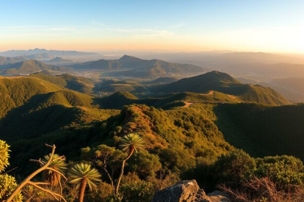Serra do Cume