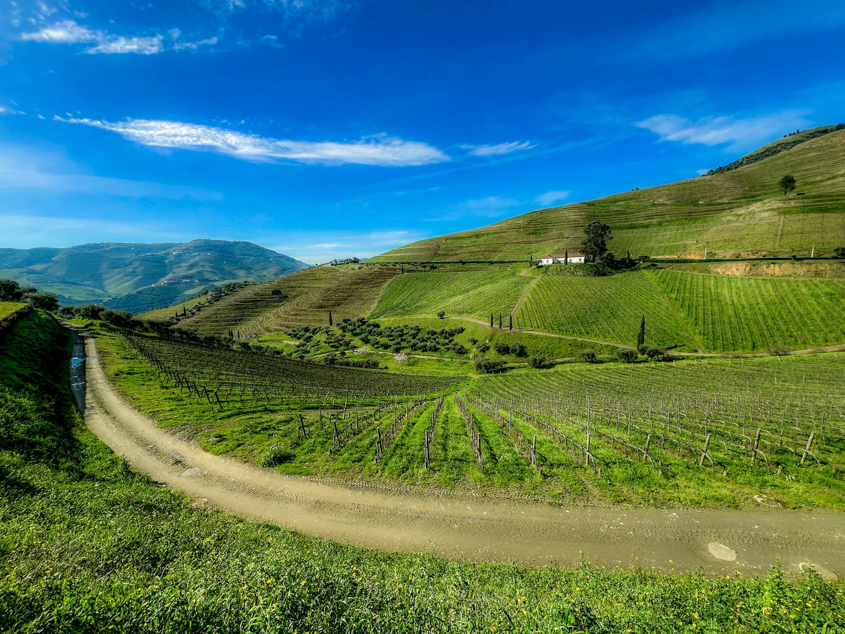 Detailansicht: Weingüter Portugal Douro