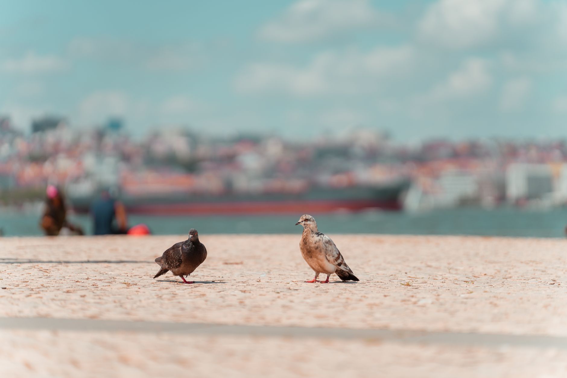 Lissabon Veranstaltungen Juni 2026 Detailansicht: Lissabon Veranstaltungen Juni 2026