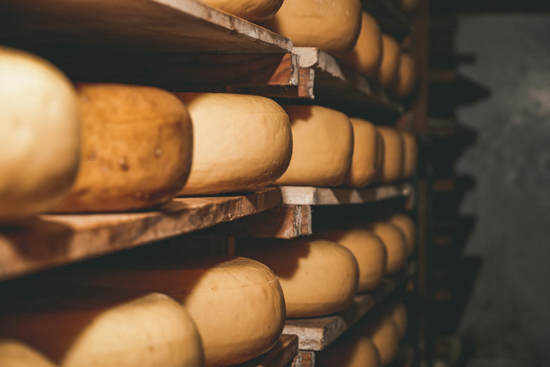 Portugiesischer Käse Detailansicht: Portugiesischer Käse