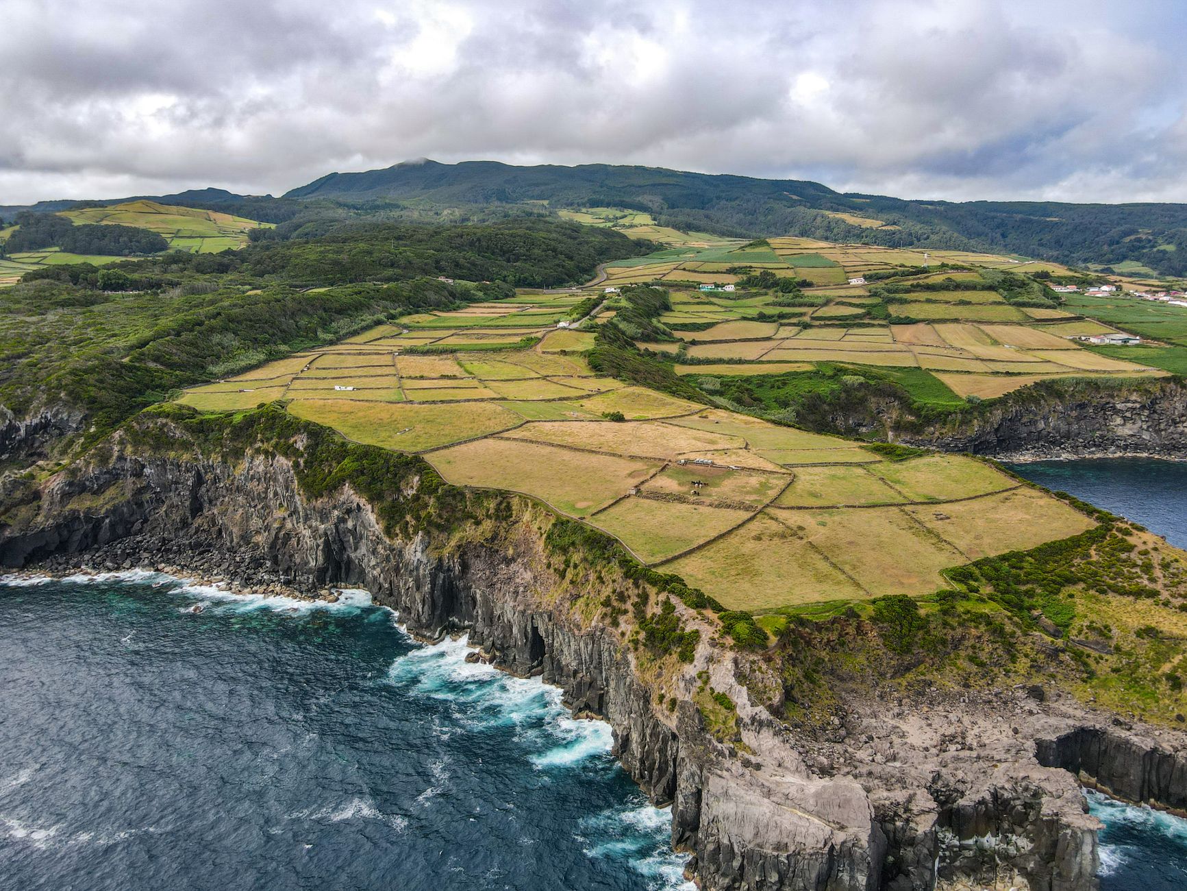 Azores Island Detailansicht: Azores Island