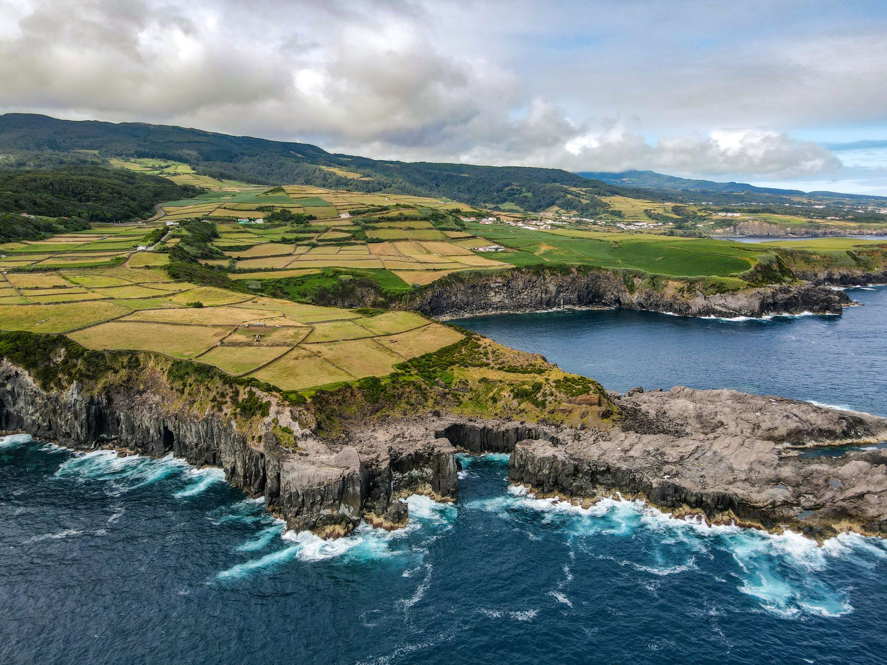 Azores Madeira Detailansicht: Azores Madeira