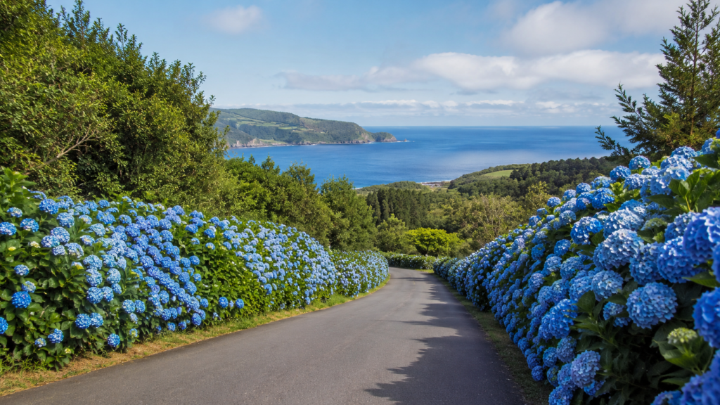 Azoren Rundreise – Kratersee Lagoa das Sete Cidades auf São Miguel, ein Highlight jeder Azoren Rundreise, umgeben von üppigem Grün